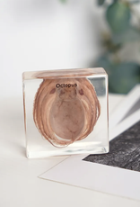 Animaux Spéciaux PAPERWEIGHT – Octopus, 8 x 8 x 2.5 cm