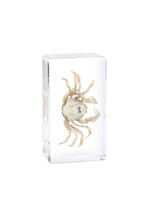Animaux Spéciaux PRESSE-PAPIER - Lichtblauwe soldaatkrab, 7x4x2cm