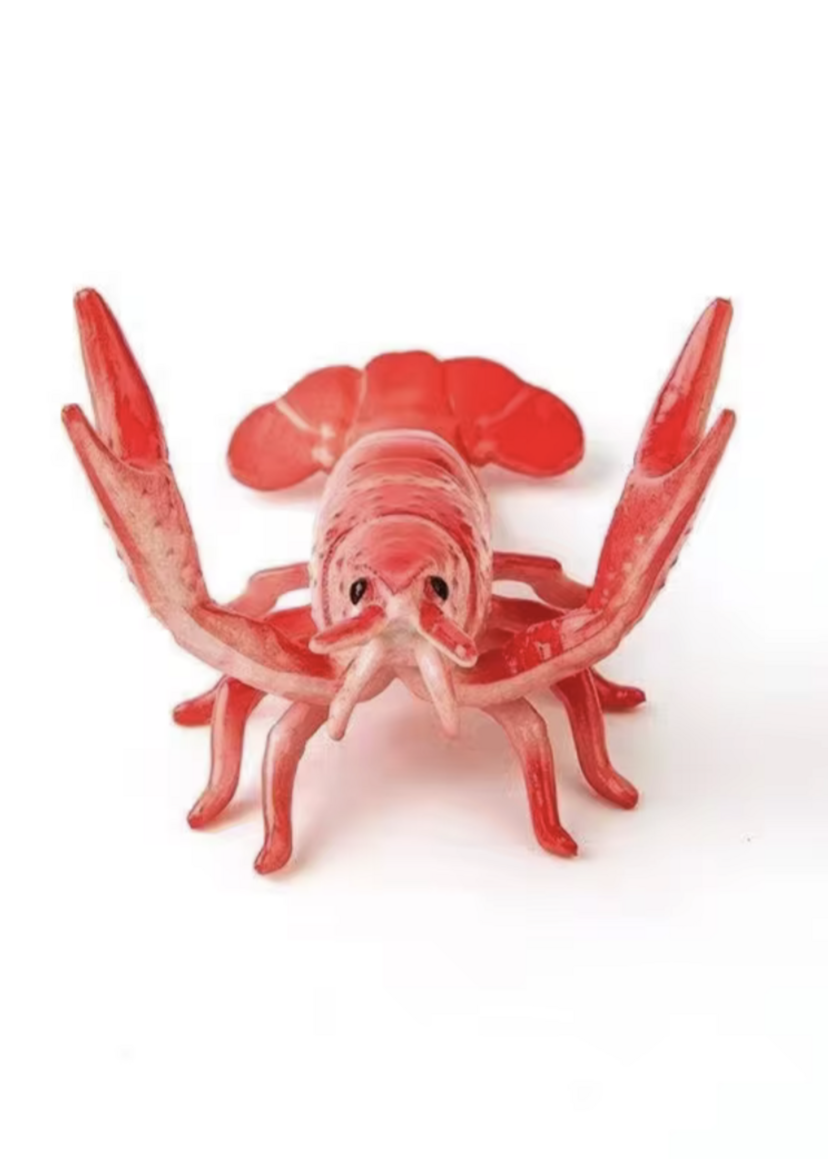 Animaux Spéciaux PEN HOLDER