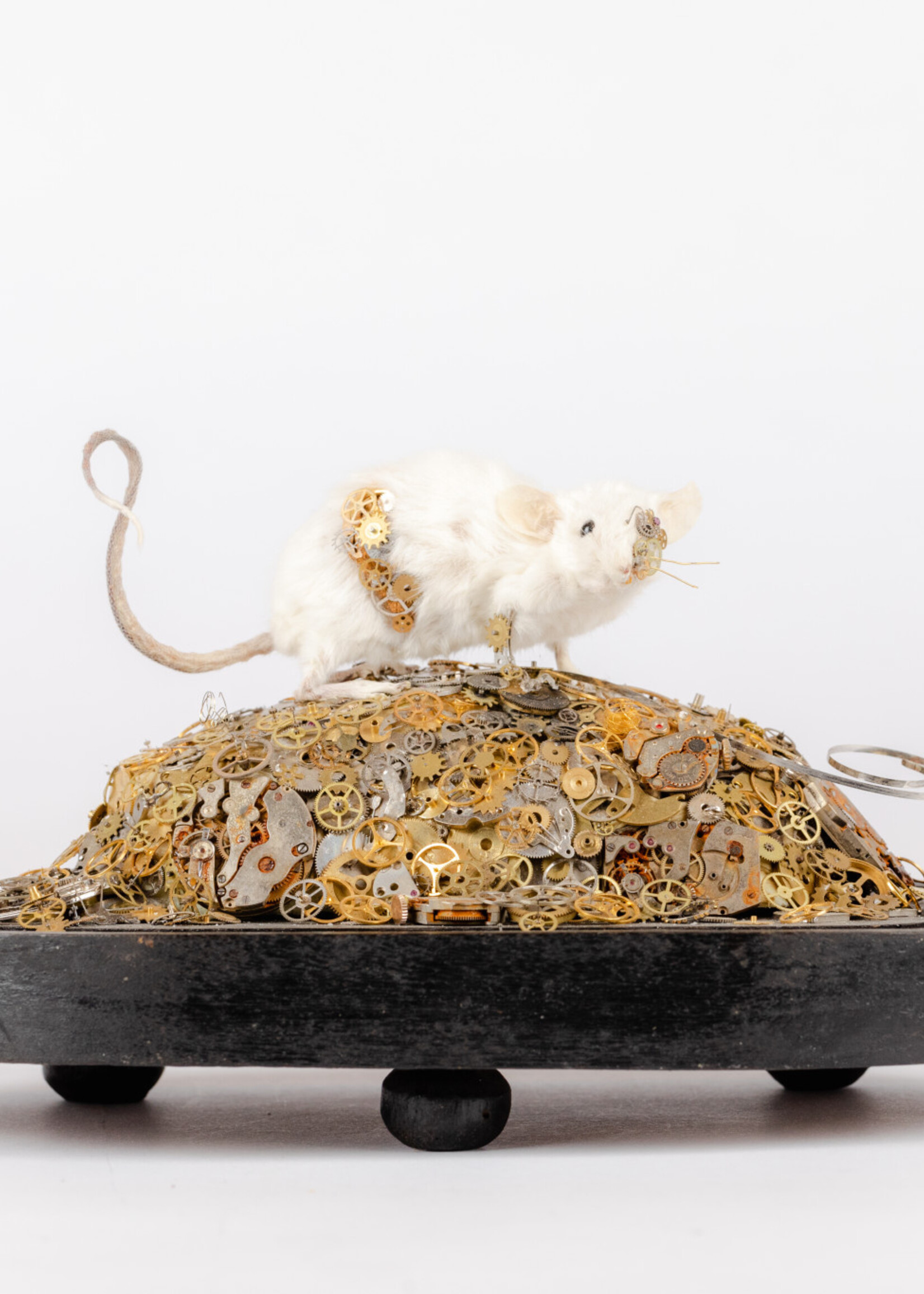 Animaux Spéciaux Muis steampunk op berg van tijd