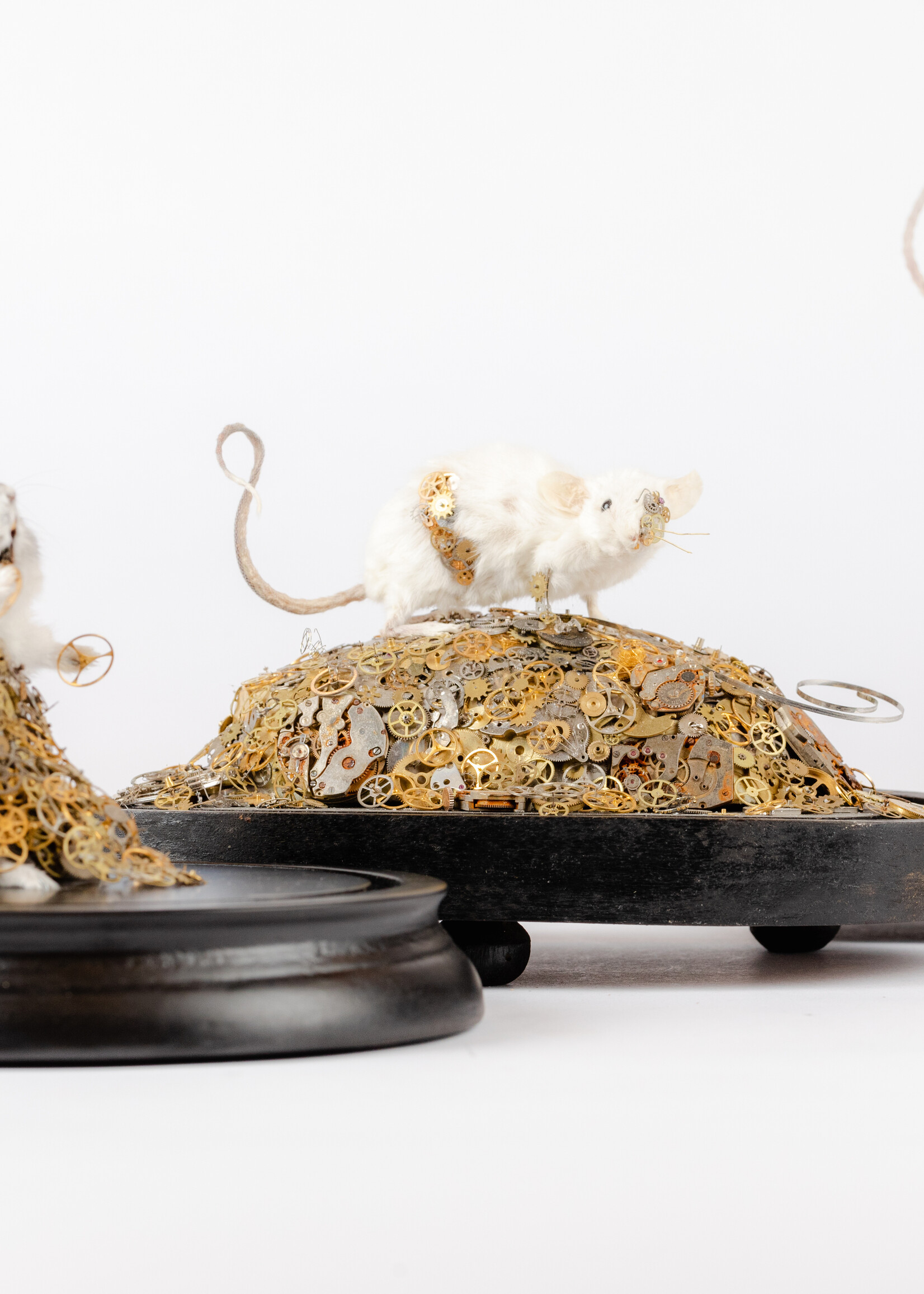 Animaux Spéciaux Muis steampunk op berg van tijd