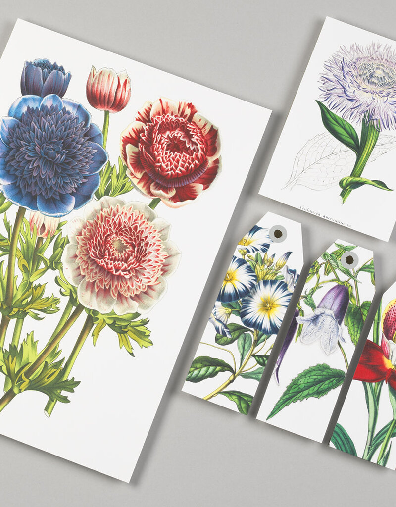 The Pepin Press PAPIERKNUTSELBOEK - BLOEMEN
