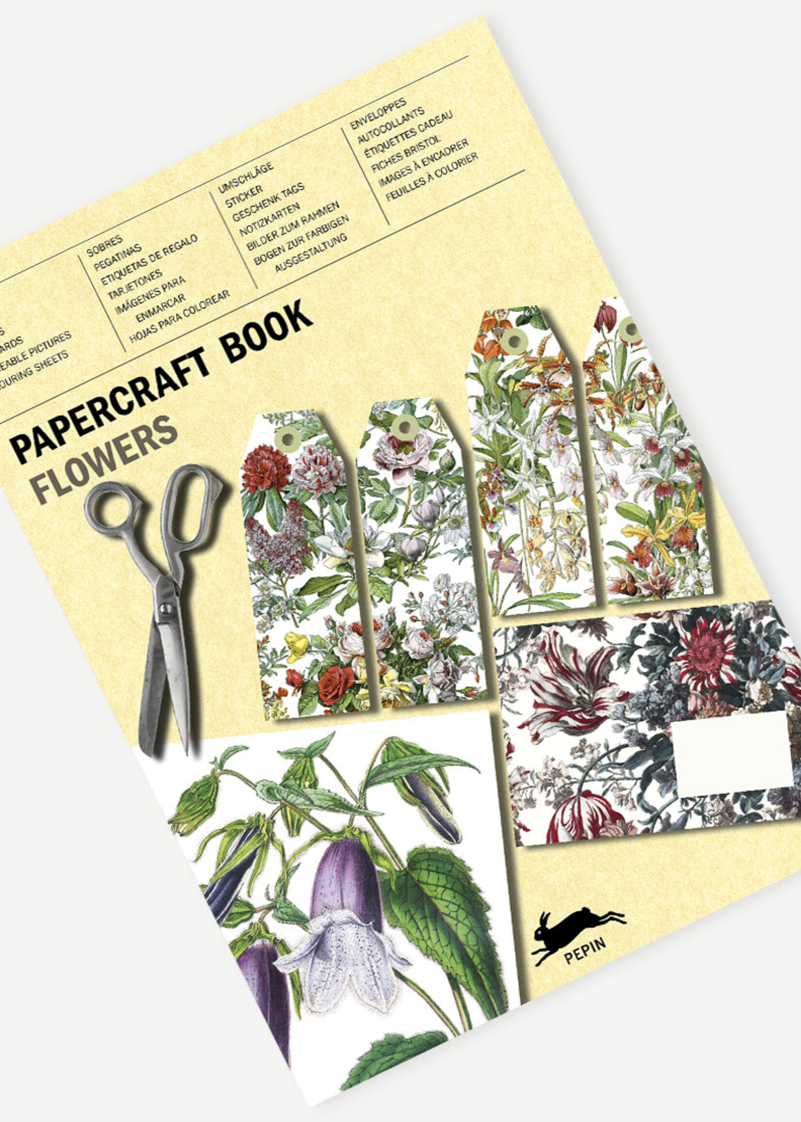 The Pepin Press Copy of Paper Craft Book: NATURAL HISTORY