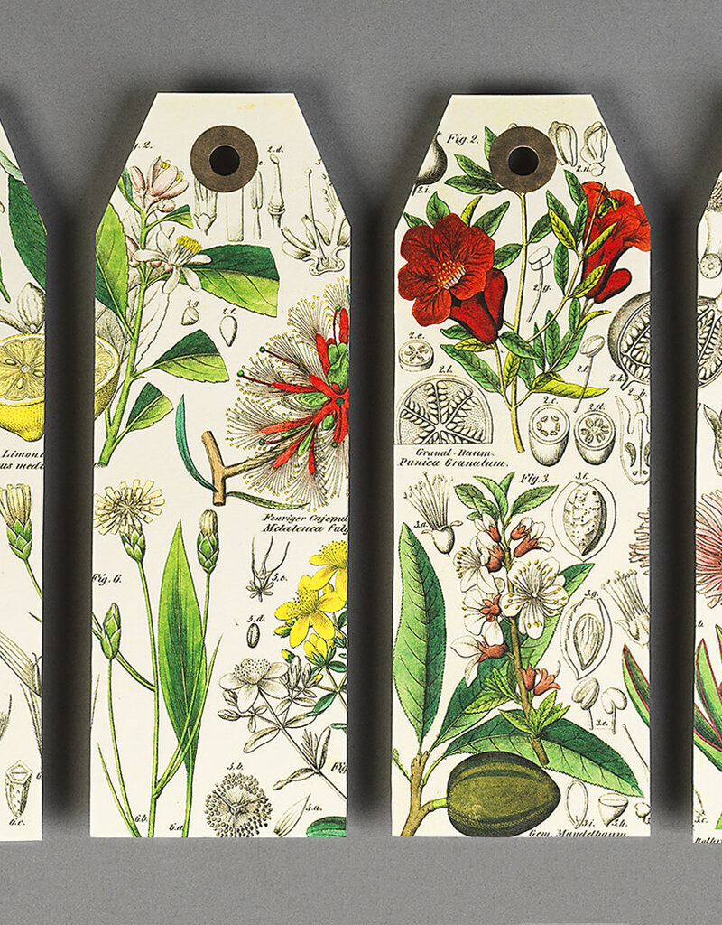 The Pepin Press PAPIERKNUTSELBOEK - BLOEMEN