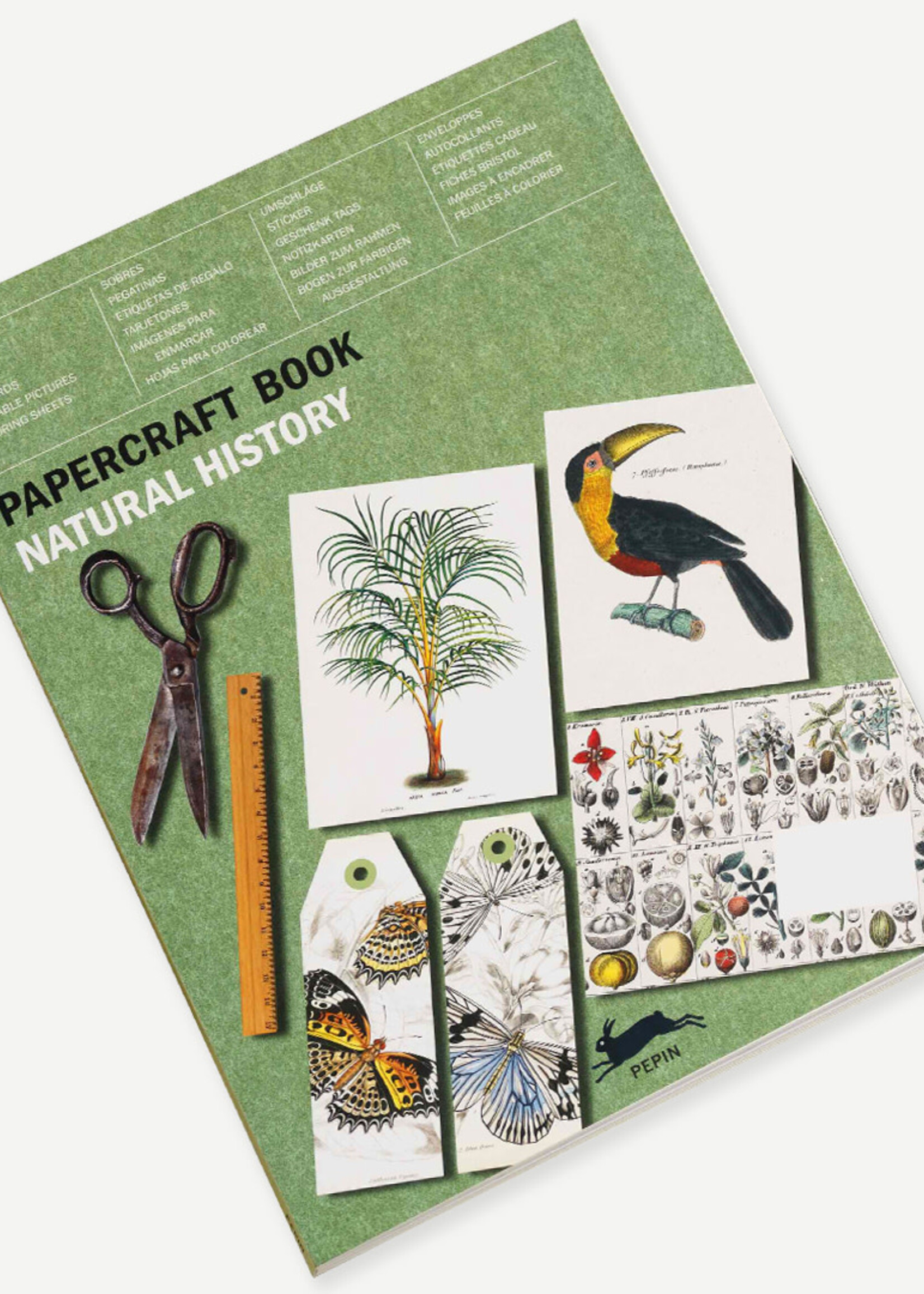 The Pepin Press LIVRE D'ARTISANAT EN PAPIER - Histoire Naturelle