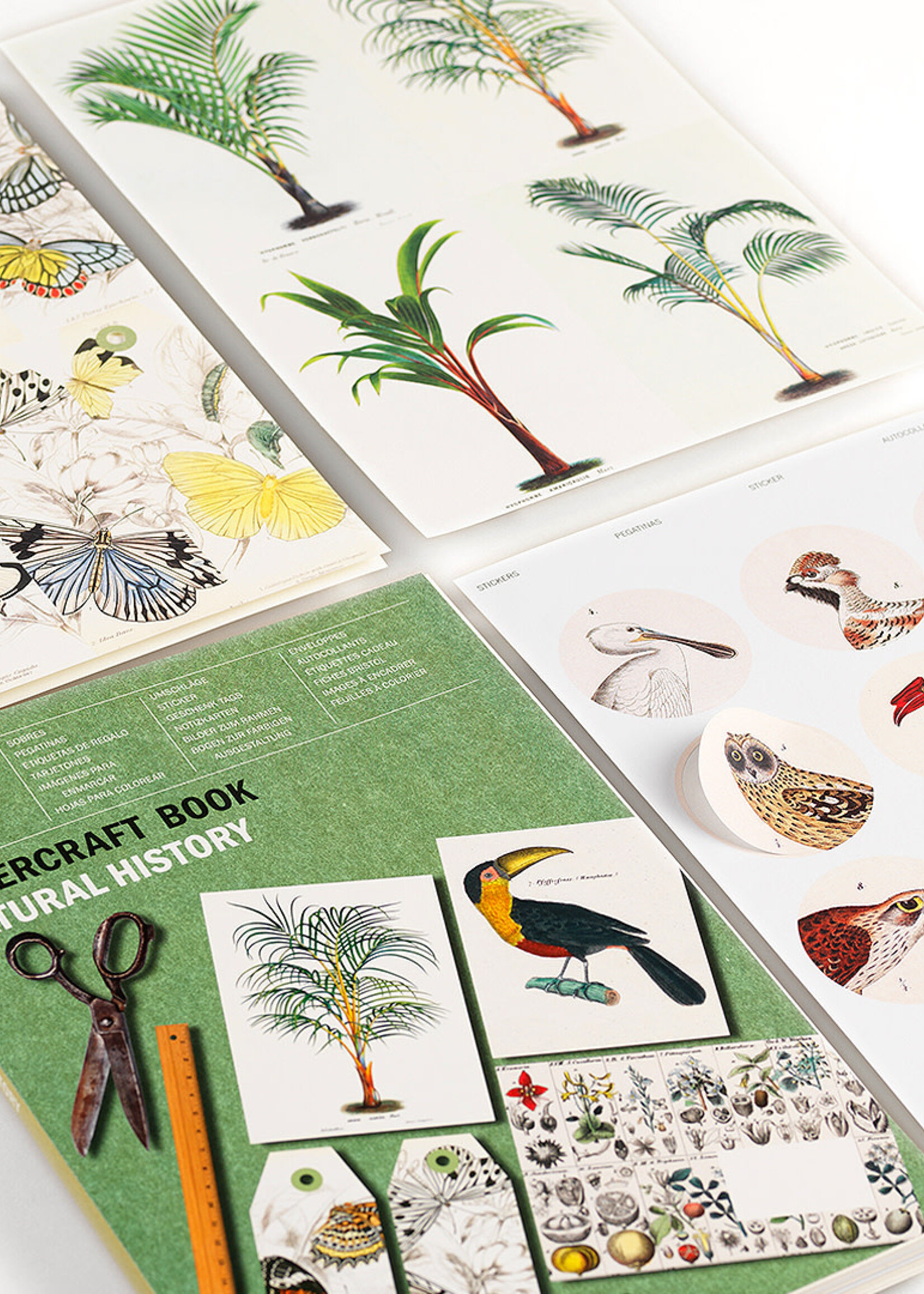 The Pepin Press PAPIEREN CRAFT BOEK - Natuurhistorie