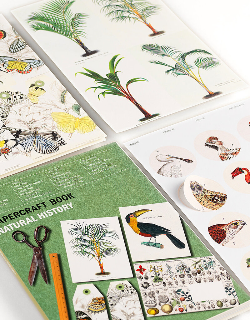 The Pepin Press PAPIEREN CRAFT BOEK - Natuurhistorie