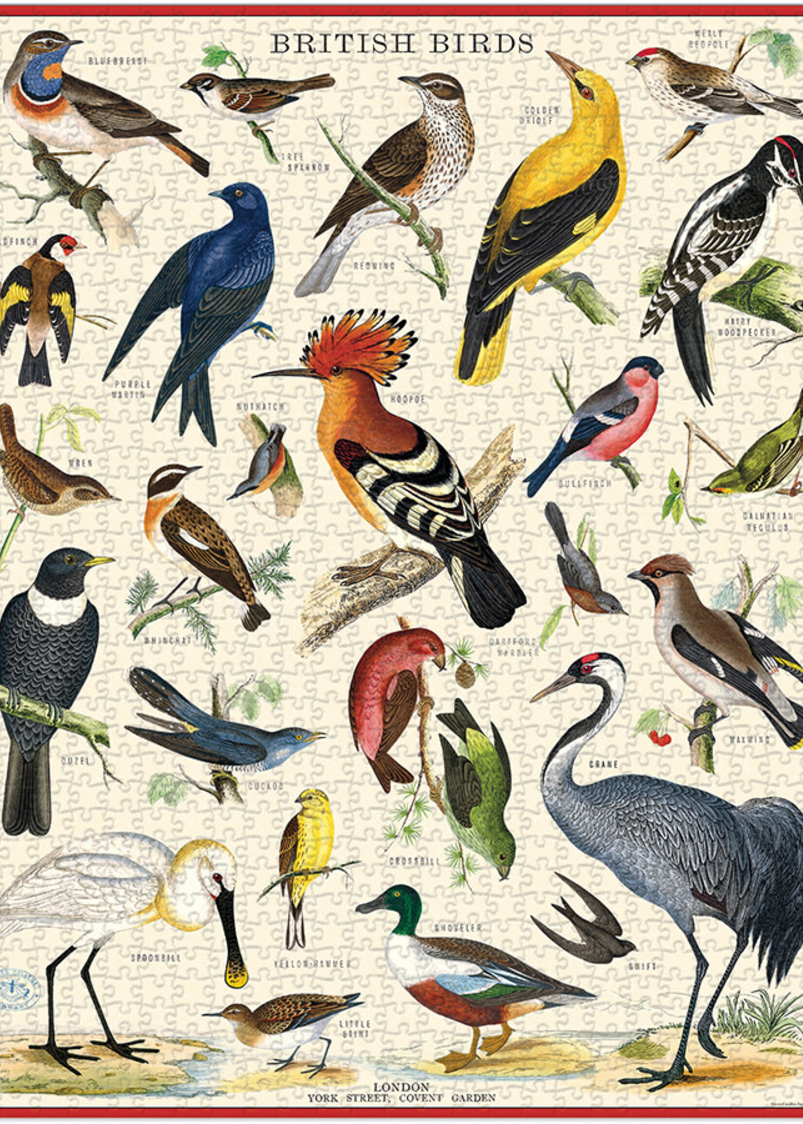 PUZZEL - EUROPESE VOGELS