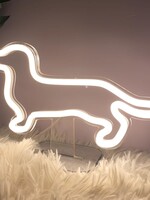 Animaux Spéciaux NEON LICHT LAMP LED - TECKEL