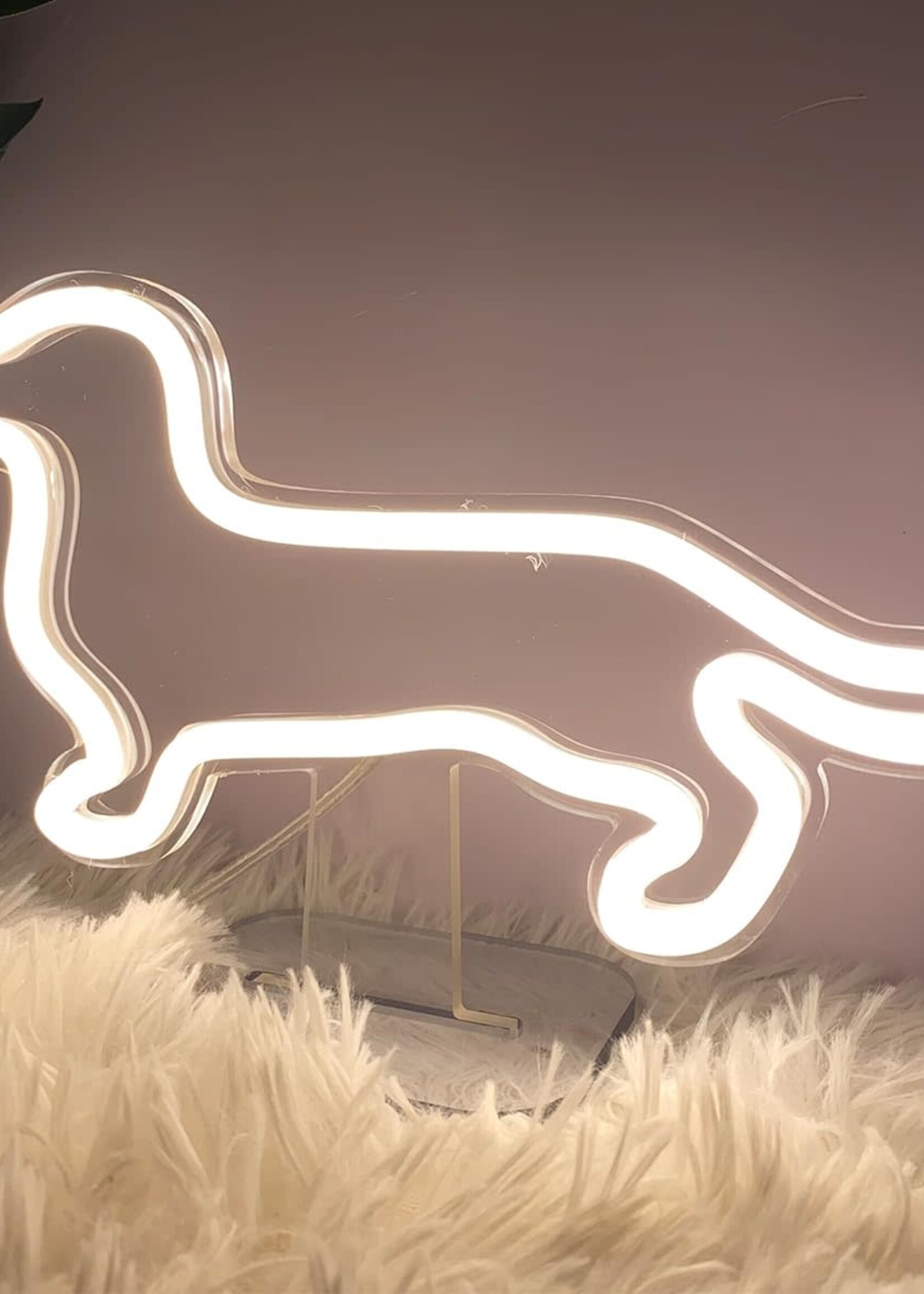 Animaux Spéciaux NEON LICHT LAMP LED - TECKEL