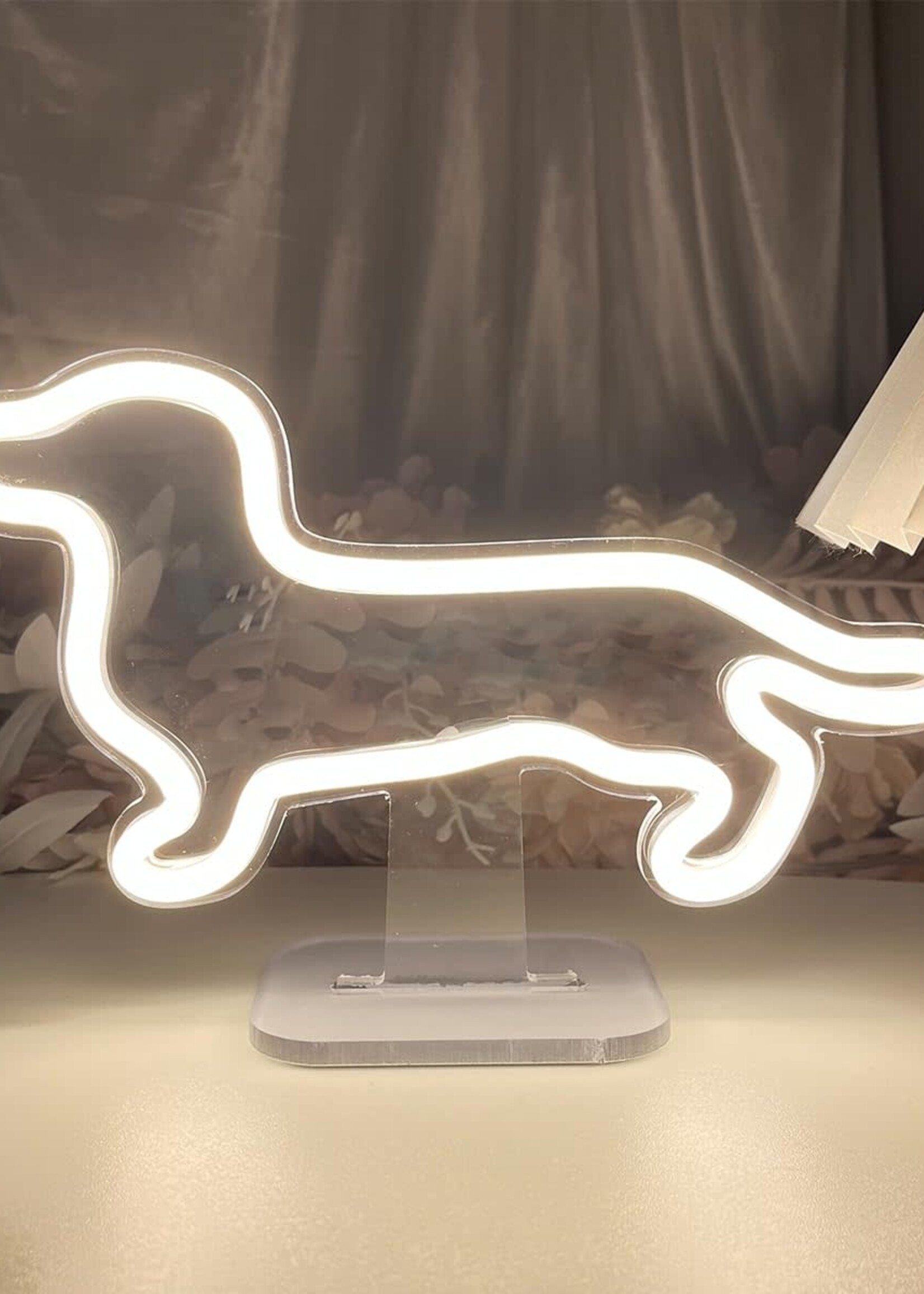 Animaux Spéciaux NEON LICHT LAMP LED - TECKEL