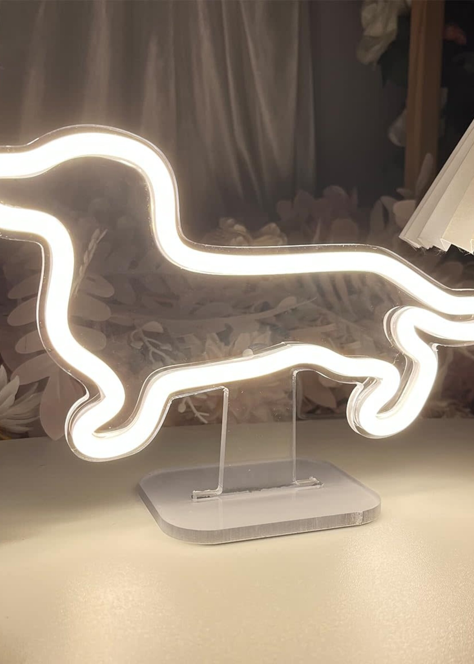 Animaux Spéciaux NEON LICHT LAMP LED - TECKEL