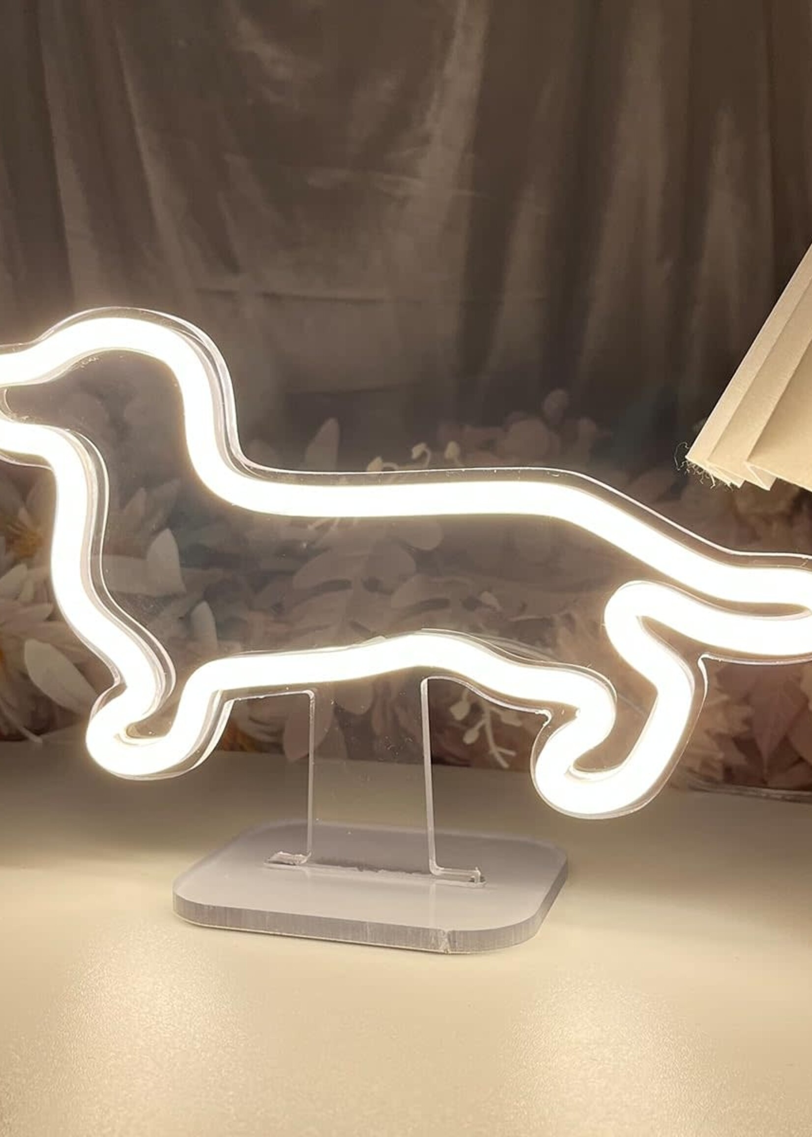 Animaux Spéciaux NEON LICHT LAMP LED - TECKEL
