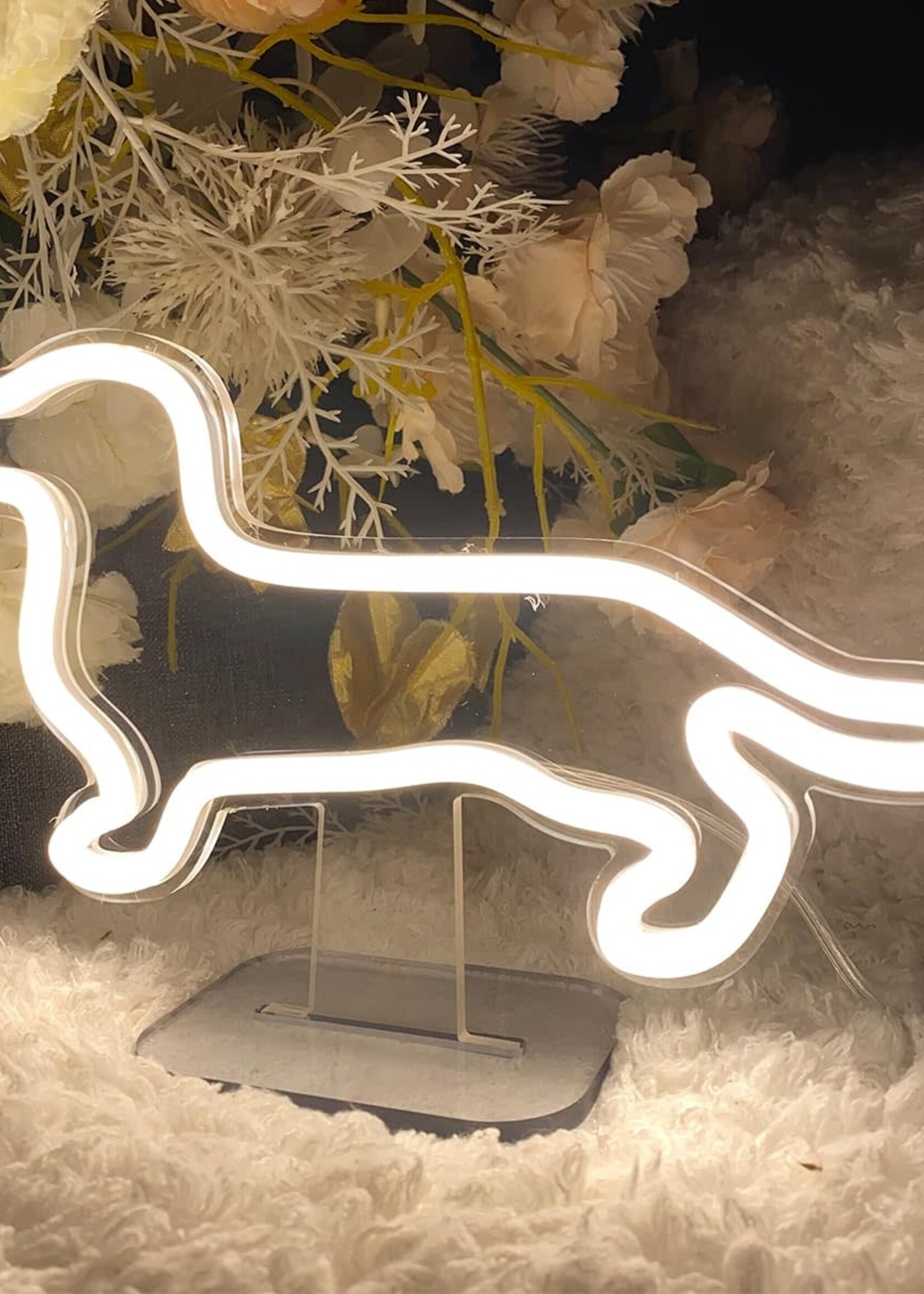 Animaux Spéciaux NEON LICHT LAMP LED - TECKEL