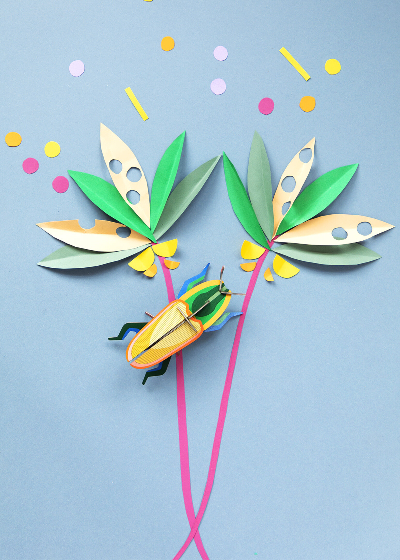 DIY WANDDECORATIE - Madagascar kever