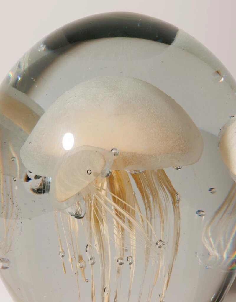 Animaux Spéciaux Three Dancing Cream Jellyfish in Glass (H16 x D13 cm)