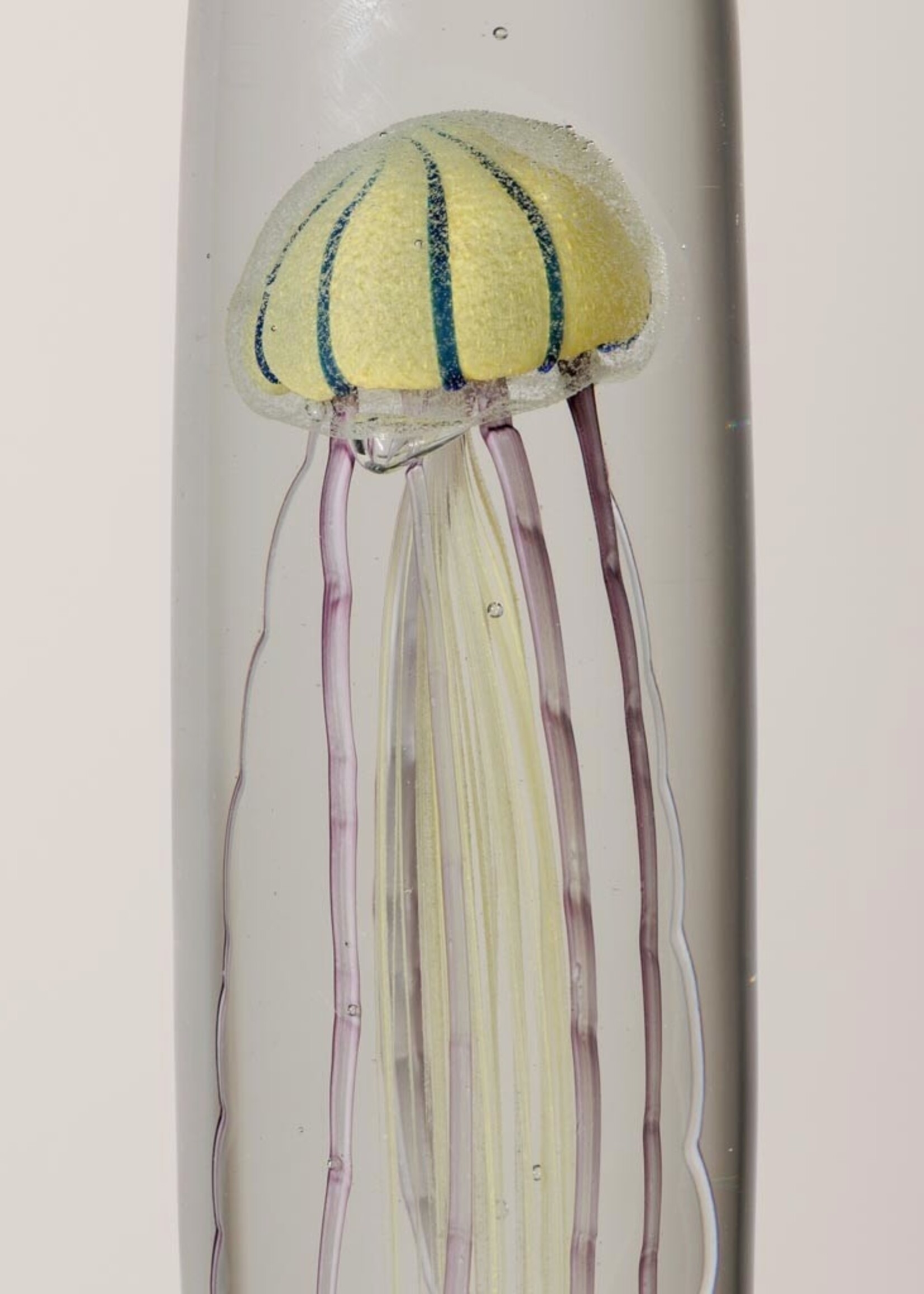 Animaux Spéciaux Presse-papier | Méduse tigre en verre (H25,5 x D7 cm)