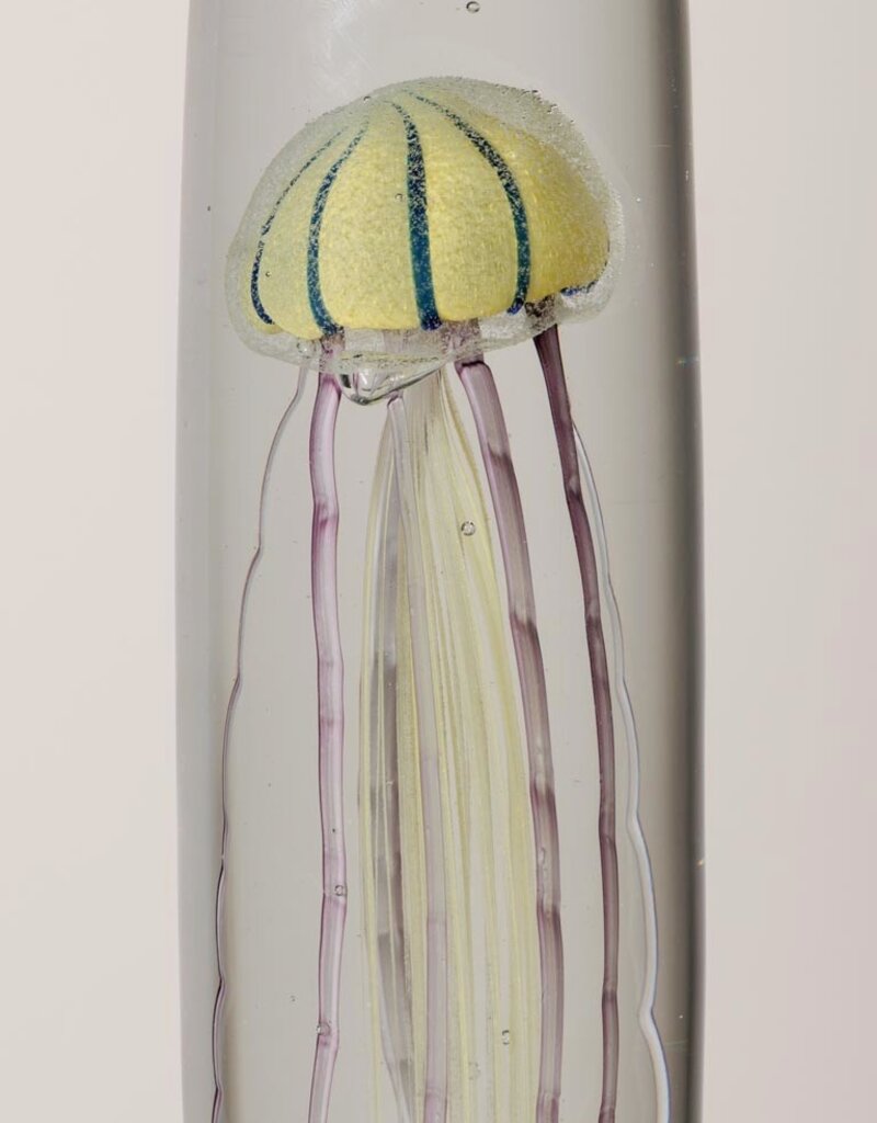Animaux Spéciaux Presse-papier | Méduse tigre en verre (H25,5 x D7 cm)