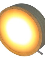 Animaux Spéciaux LAMPE - LED pour presse-papiers (lumière uniforme)
