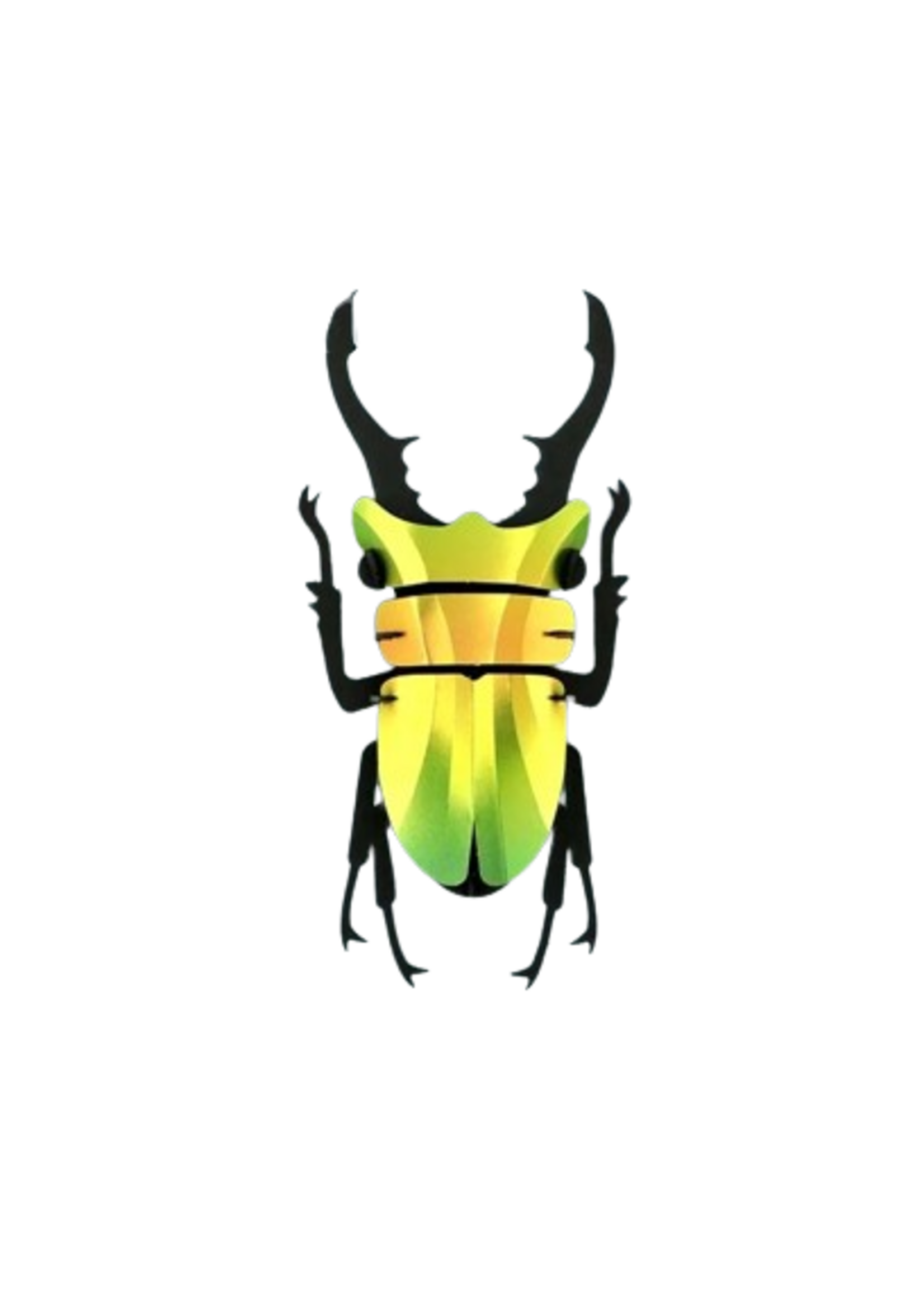 DIY DECORATION - Stag Beetle (s)