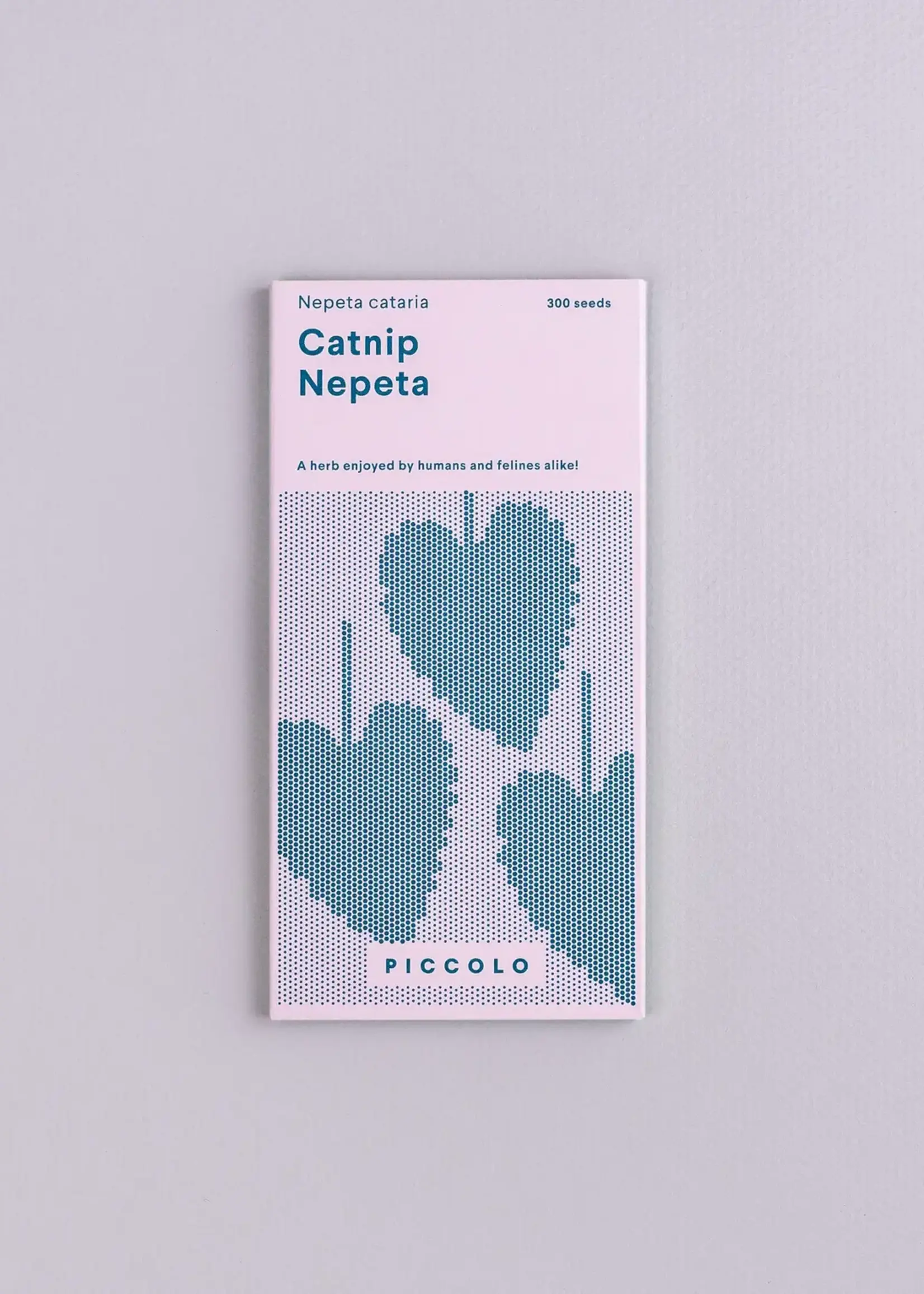 Catnip Nepeta - Nepeta cataria