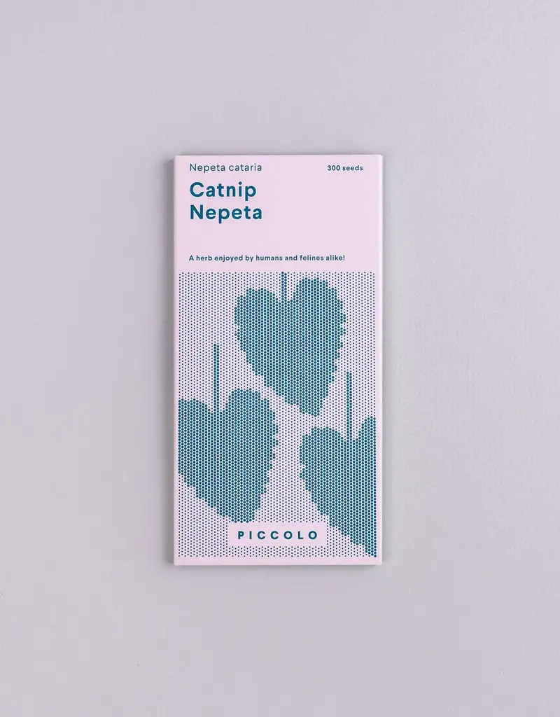 Catnip Nepeta - Nepeta cataria