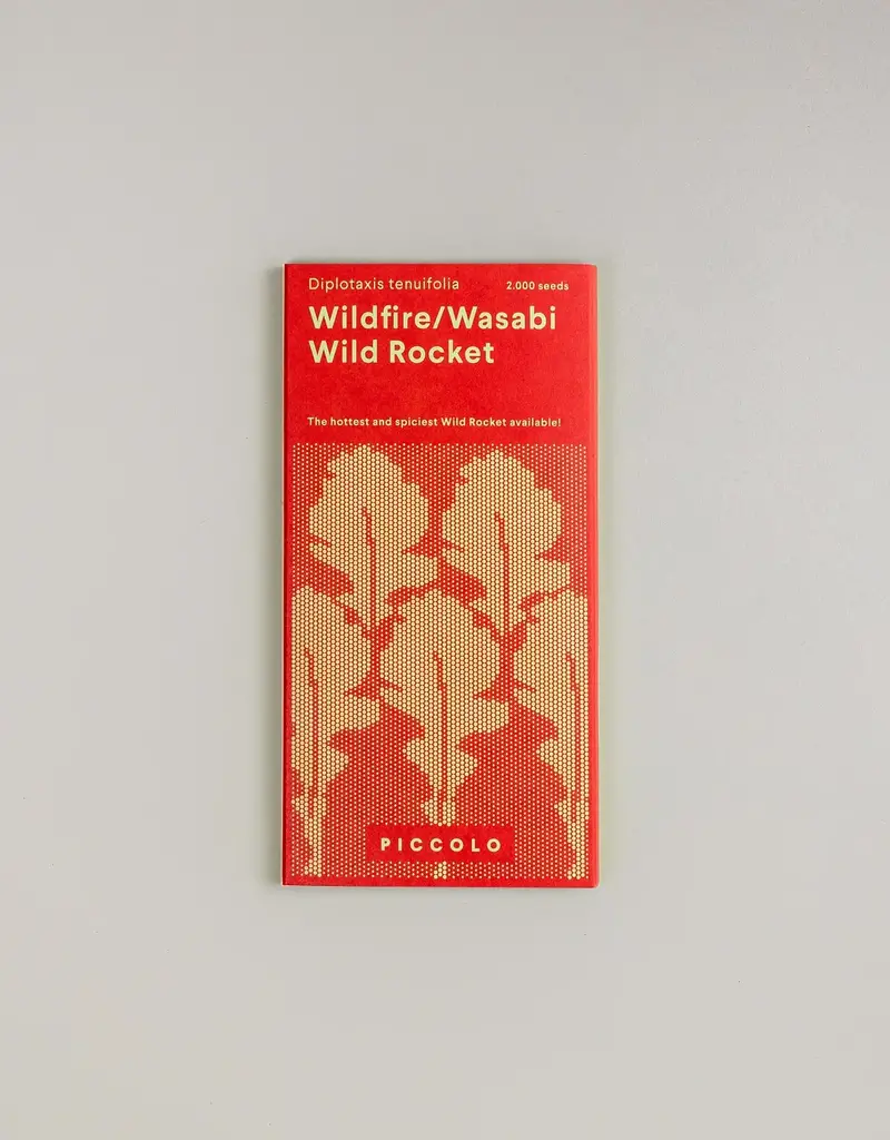 Copy of Thaise basilicum - Ocimum Basilicum