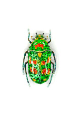 Trovelore BROCHE - Regenboog bloemenkever