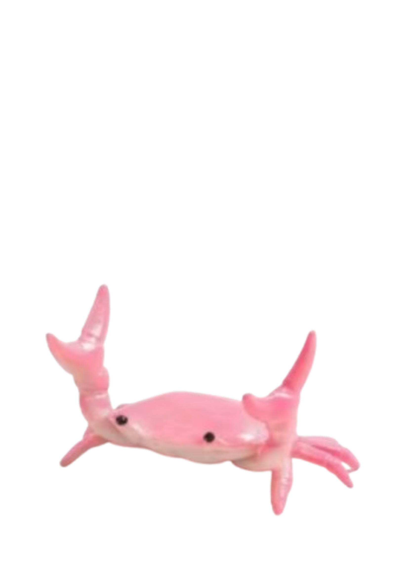 Animaux Spéciaux PEN HOLDER