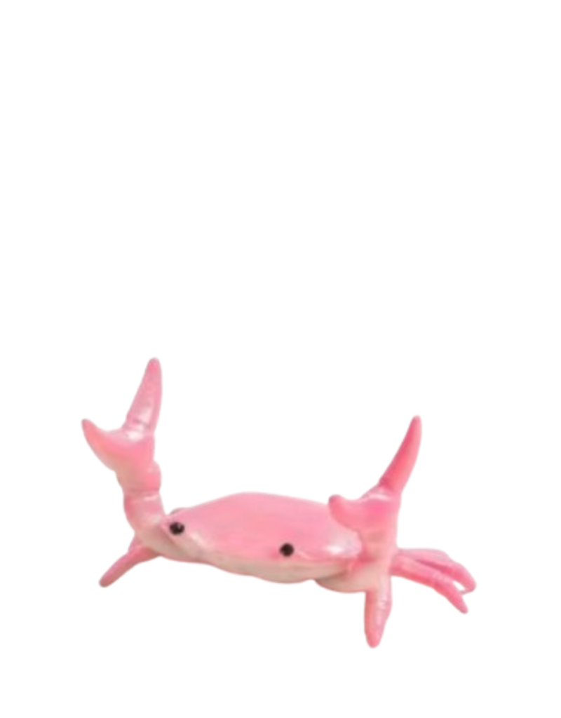 Animaux Spéciaux PENNENHOUDER