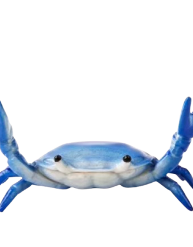 Animaux Spéciaux PENNENHOUDER