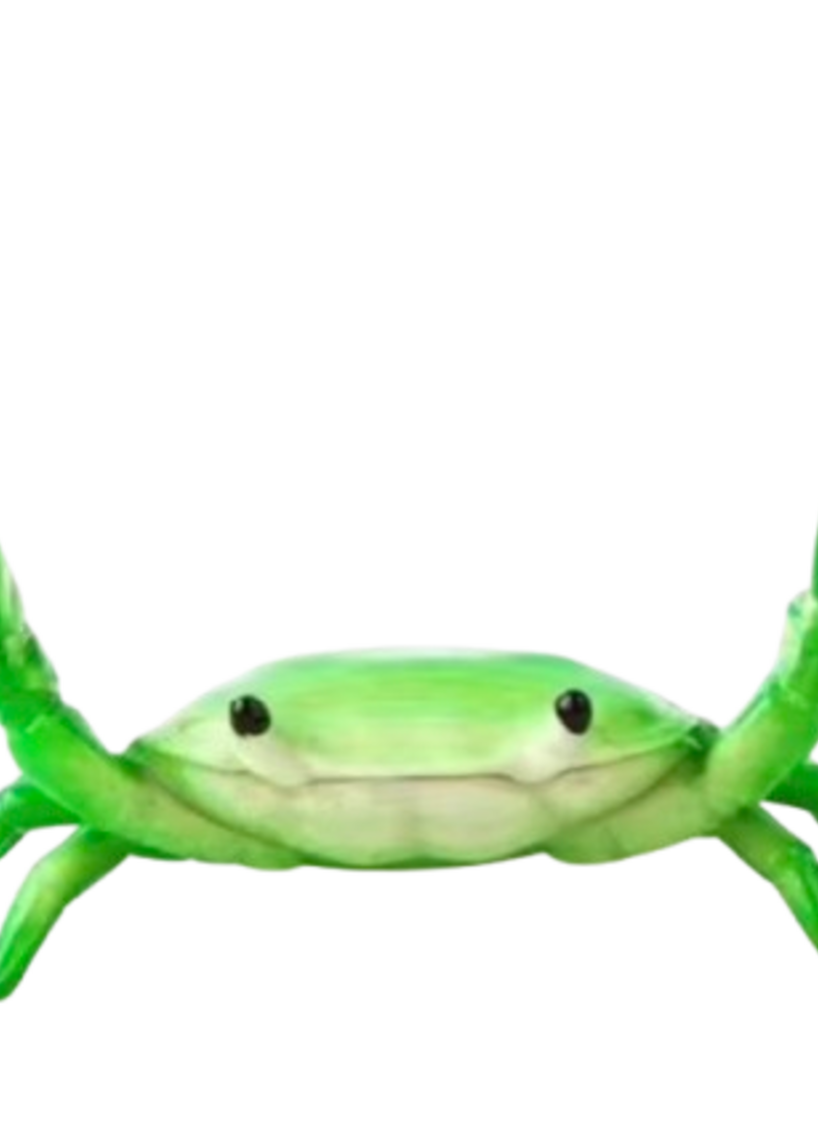 Animaux Spéciaux PEN HOLDER