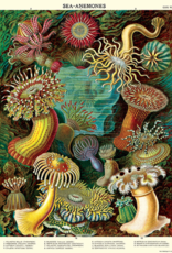AFFICHE VINTAGE - Minéralogie (50x70cm)