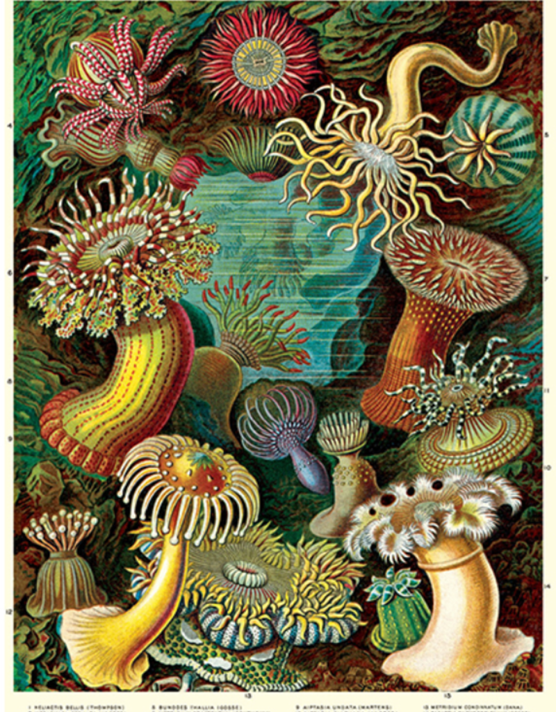 VINTAGE POSTER - Mineralogie (50x70cm)