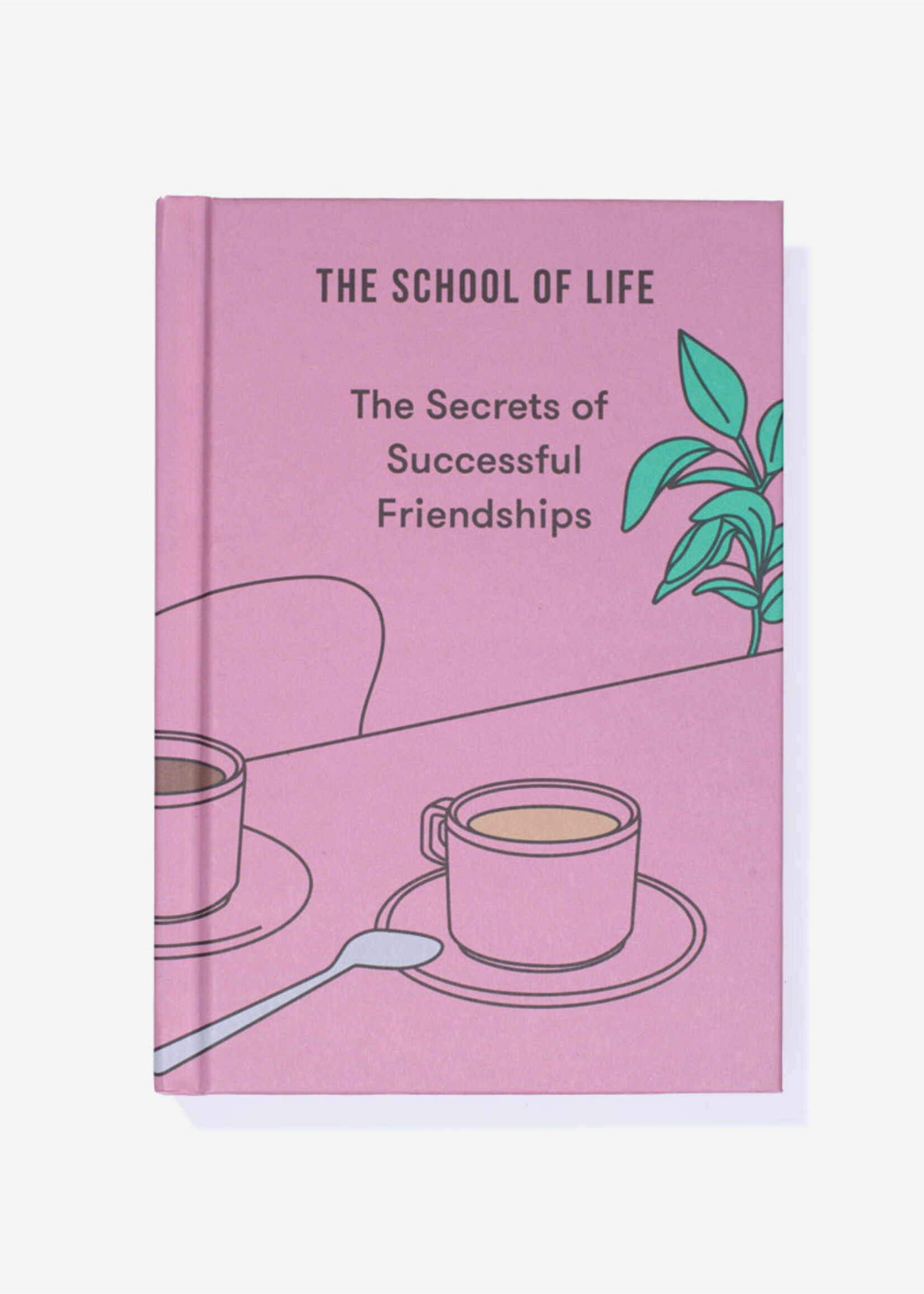 THE SCHOOL OF LIFE : The secrets of successful Friendships
