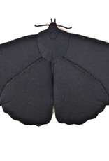 Trovelore Papillon de soie géant – Objet d’art textile