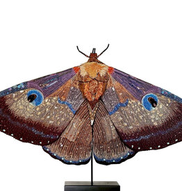Trovelore Papillon de soie géant – Objet d’art textile