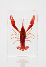 Animaux Spéciaux Paperweight – Red Swamp Crayfish