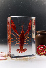 Animaux Spéciaux Paperweight – Red Swamp Crayfish