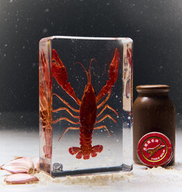 Animaux Spéciaux Paperweight – Red Swamp Crayfish