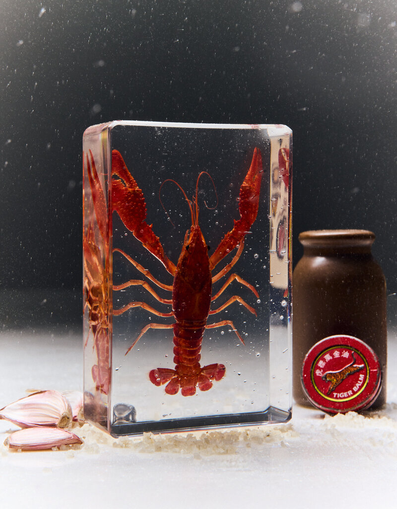 Animaux Spéciaux Paperweight – Red Swamp Crayfish