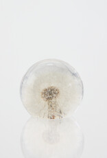 Animaux Spéciaux Sphère en Résine avec Pissenlit Préservé by Animaux Spéciaux