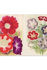 John Derian Paper Goods Een betoverend koffietafelboek met 300 vintage illustraties