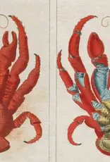 John Derian Paper Goods A stunning coffee-table art book with 300 vintage illustrations