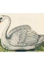 John Derian Paper Goods A stunning coffee-table art book with 300 vintage illustrations