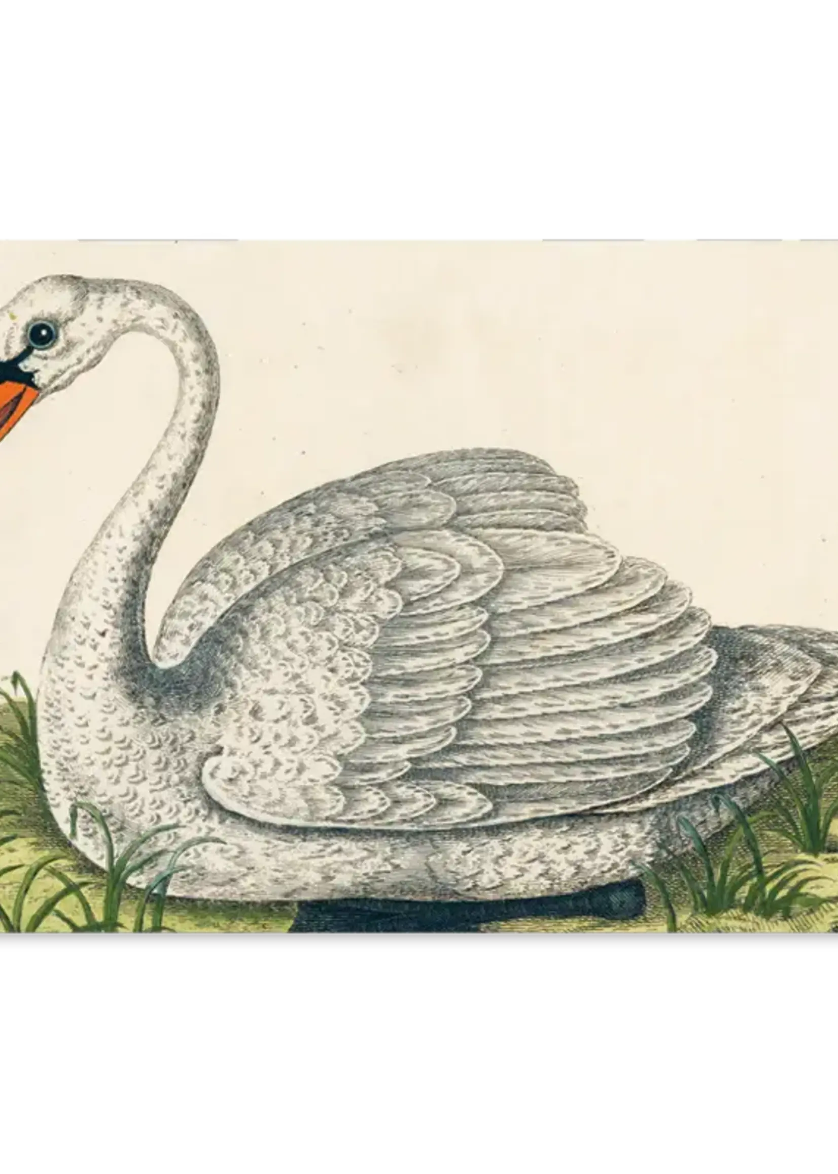 John Derian Paper Goods Un livre d’art somptueux avec 300 illustrations vintage