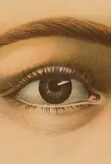 John Derian Paper Goods A stunning coffee-table art book with 300 vintage illustrations