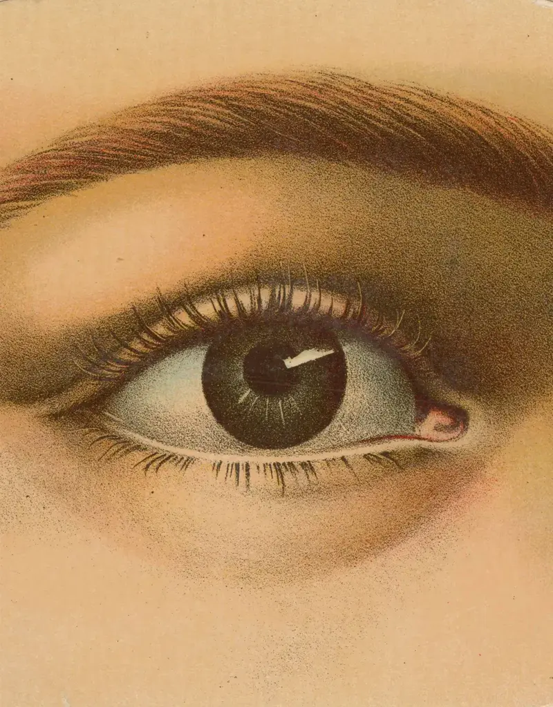 John Derian Paper Goods A stunning coffee-table art book with 300 vintage illustrations