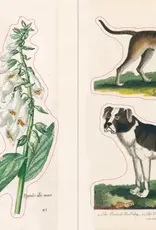 Artisan John Derian – Sticker Book (700+ vintage stickers)