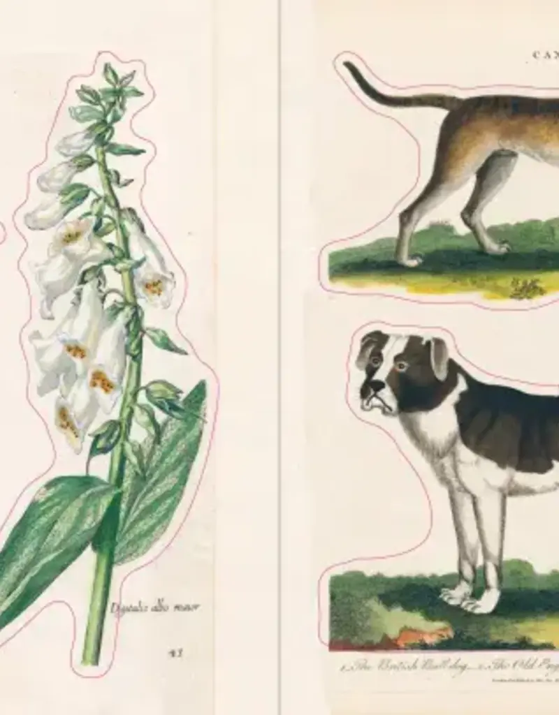 Artisan John Derian – Sticker Book (700+ vintage stickers)